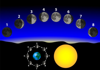 phases of the moon relative to earth
